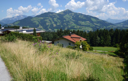 Hanggrundstück in sonniger Panoramalage – Hopfgarten im Brixental