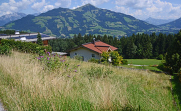 Hanggrundstück in sonniger Panoramalage, 6361 Hopfgarten, Wohnen