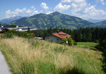 Hanggrundstück in sonniger Panoramalage – Hopfgarten im Brixental, 6361 Hopfgarten im Brixental, Wohngrundstück